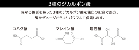 ファイバープレックス トリートメントの配合成分（3つのジカルボン酸：マレイン酸、コハク酸、酒石酸）